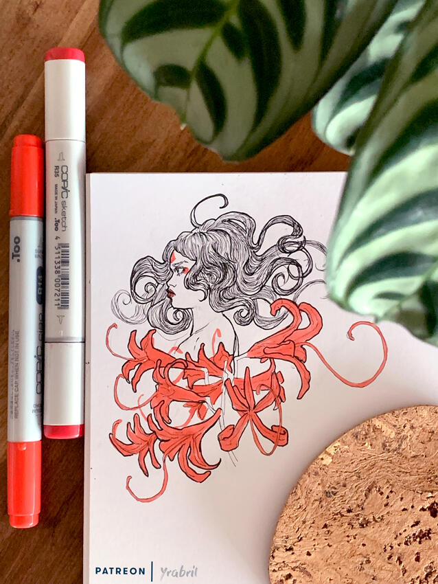 Spiderlily - Ink sketch