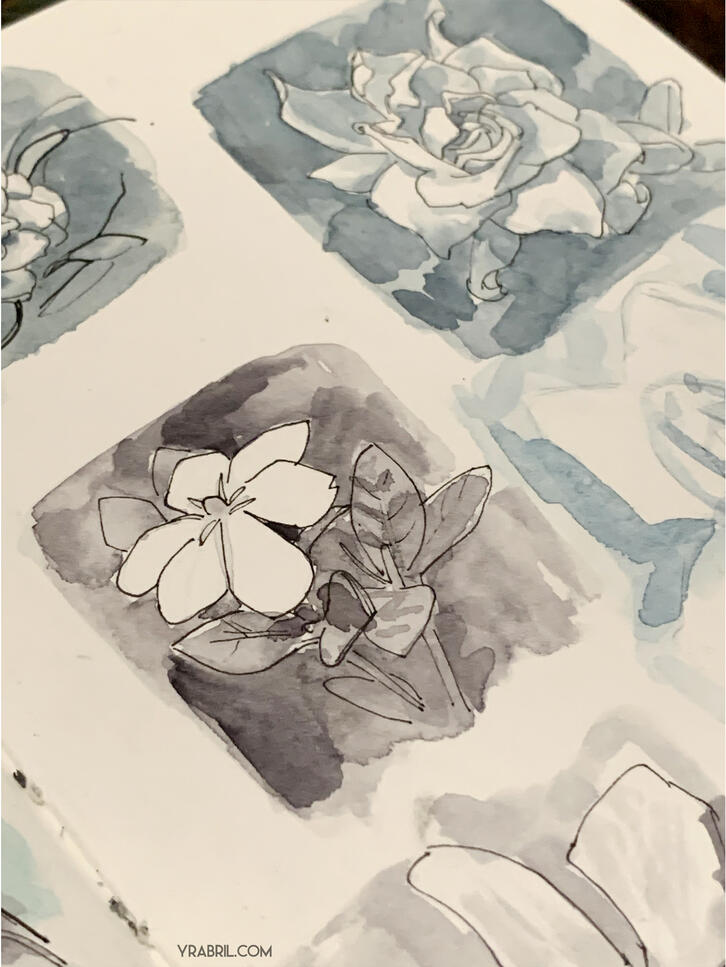Flower studies